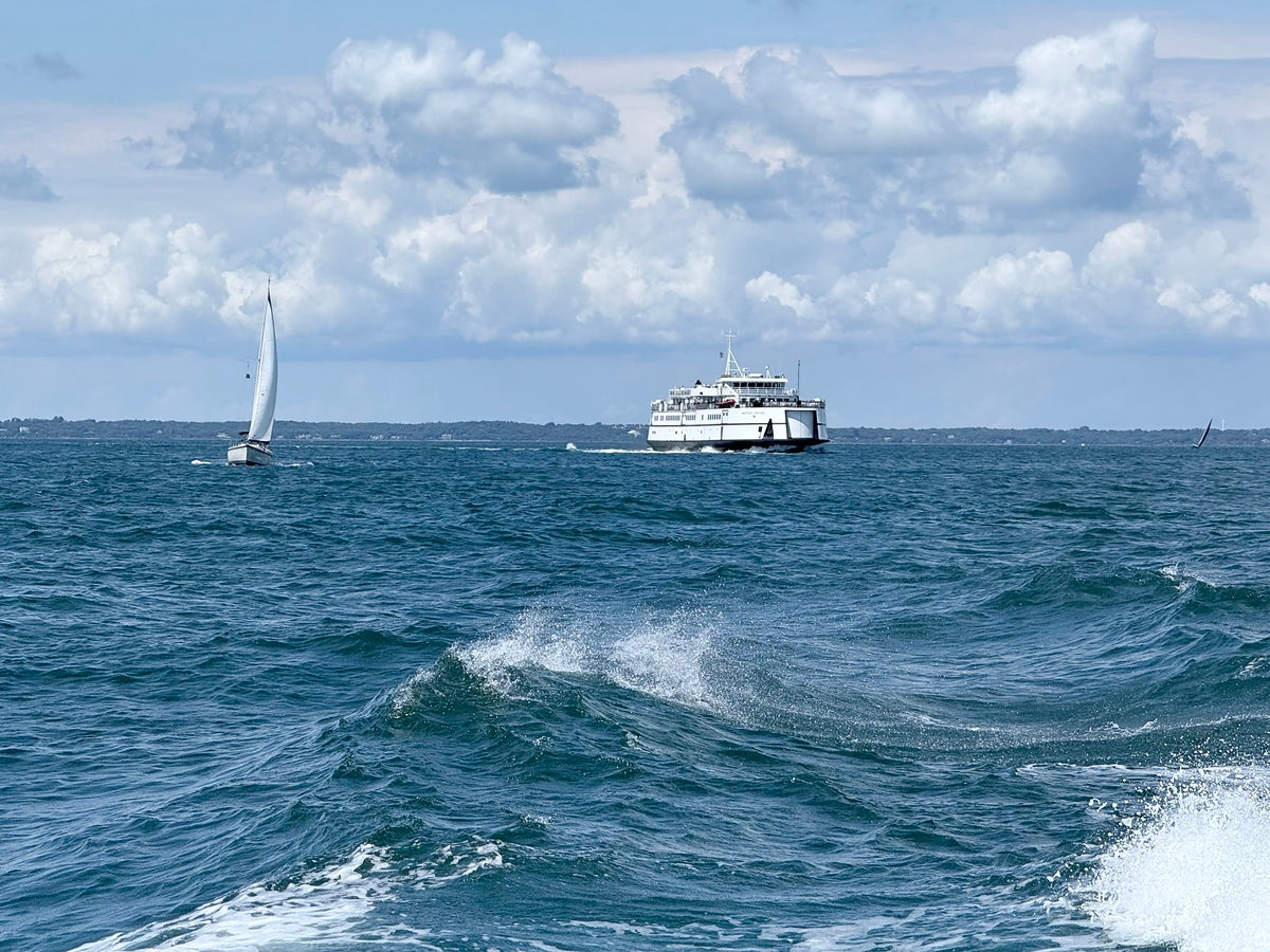 2473998 :: Giclée Rolled Canvas Print