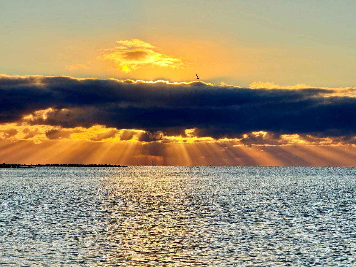 2472539 :: Giclée Poster Satin Photo Paper Print