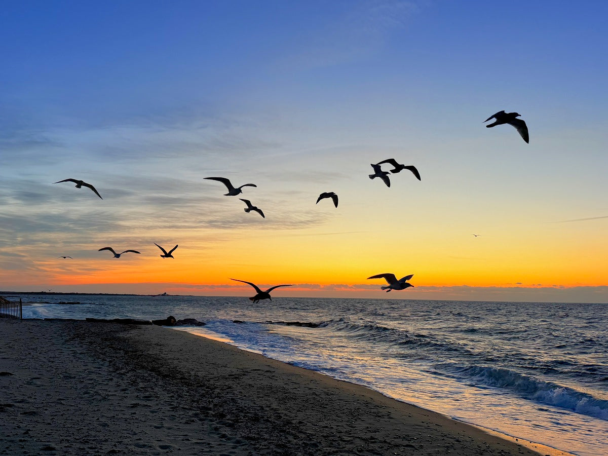 2505539 :: Giclée Rolled Canvas Print