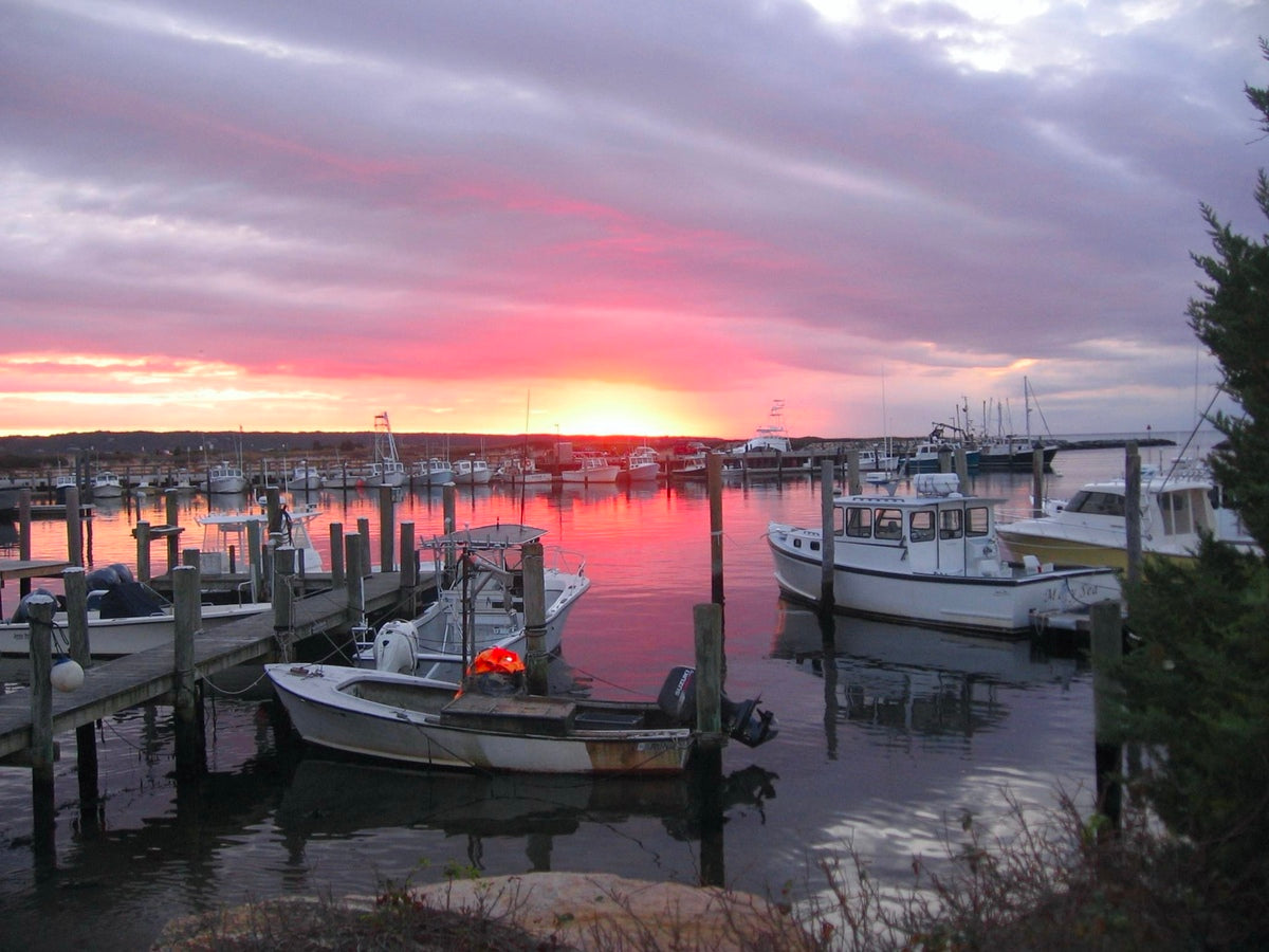 2474014 :: Giclée Rolled Canvas Print