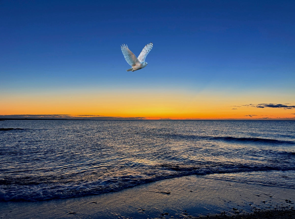 2507586 :: Giclée Fine Art Matte Paper Print