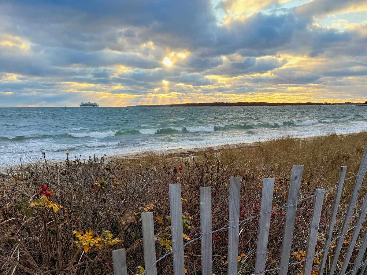 2491474 :: Giclée Rolled Canvas Print