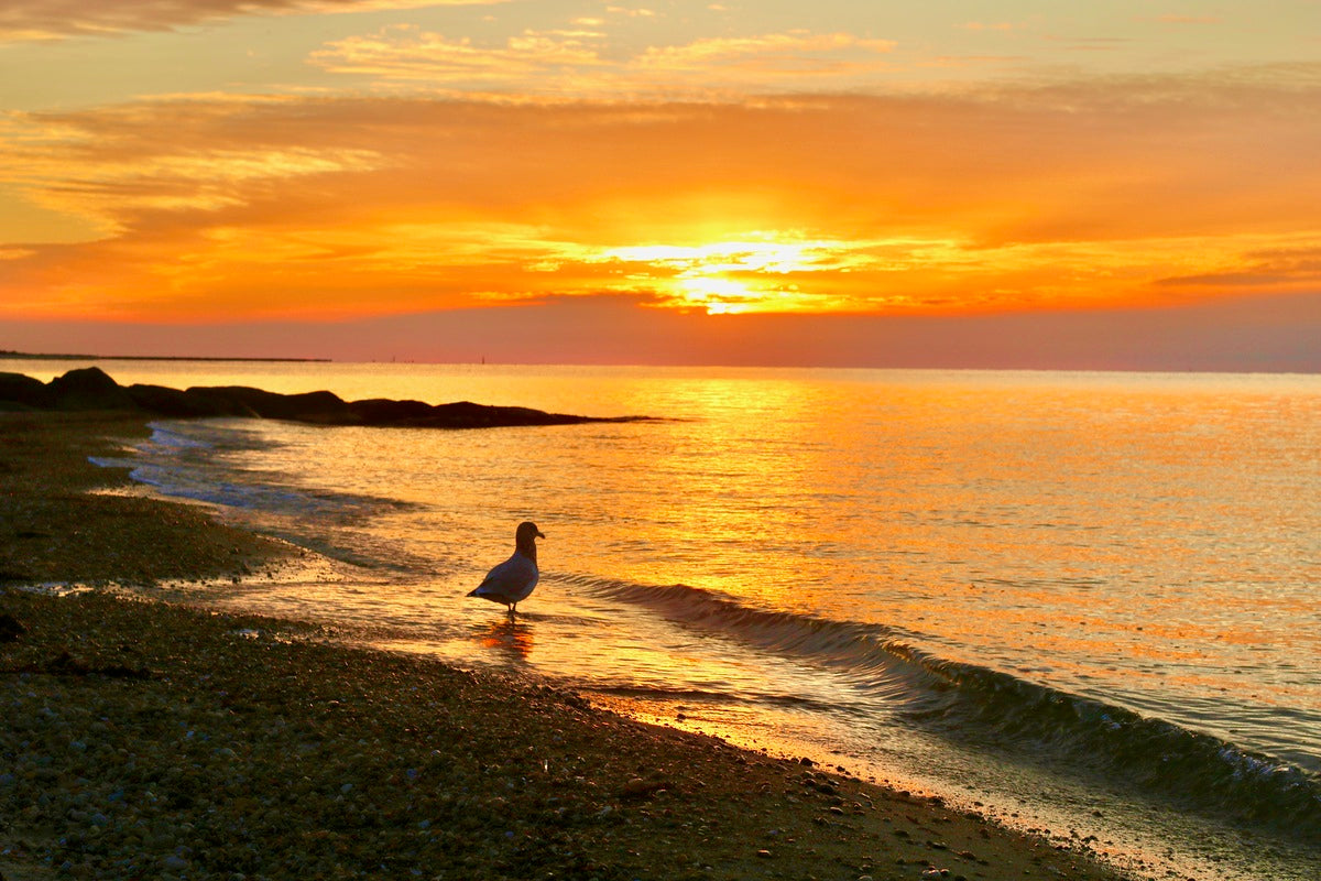 2483297 :: Giclée Fine Art Matte Paper Print