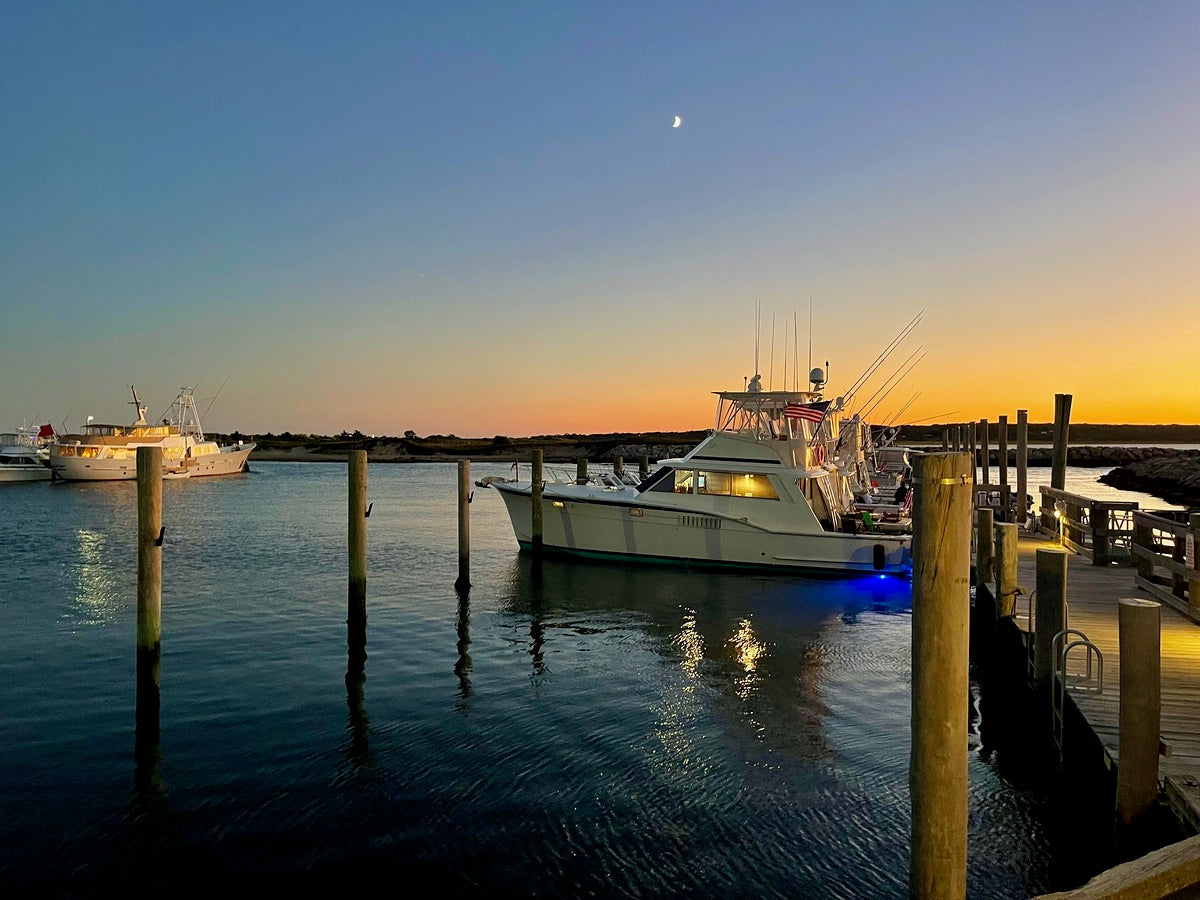 Giclee Rolled Canvas Print