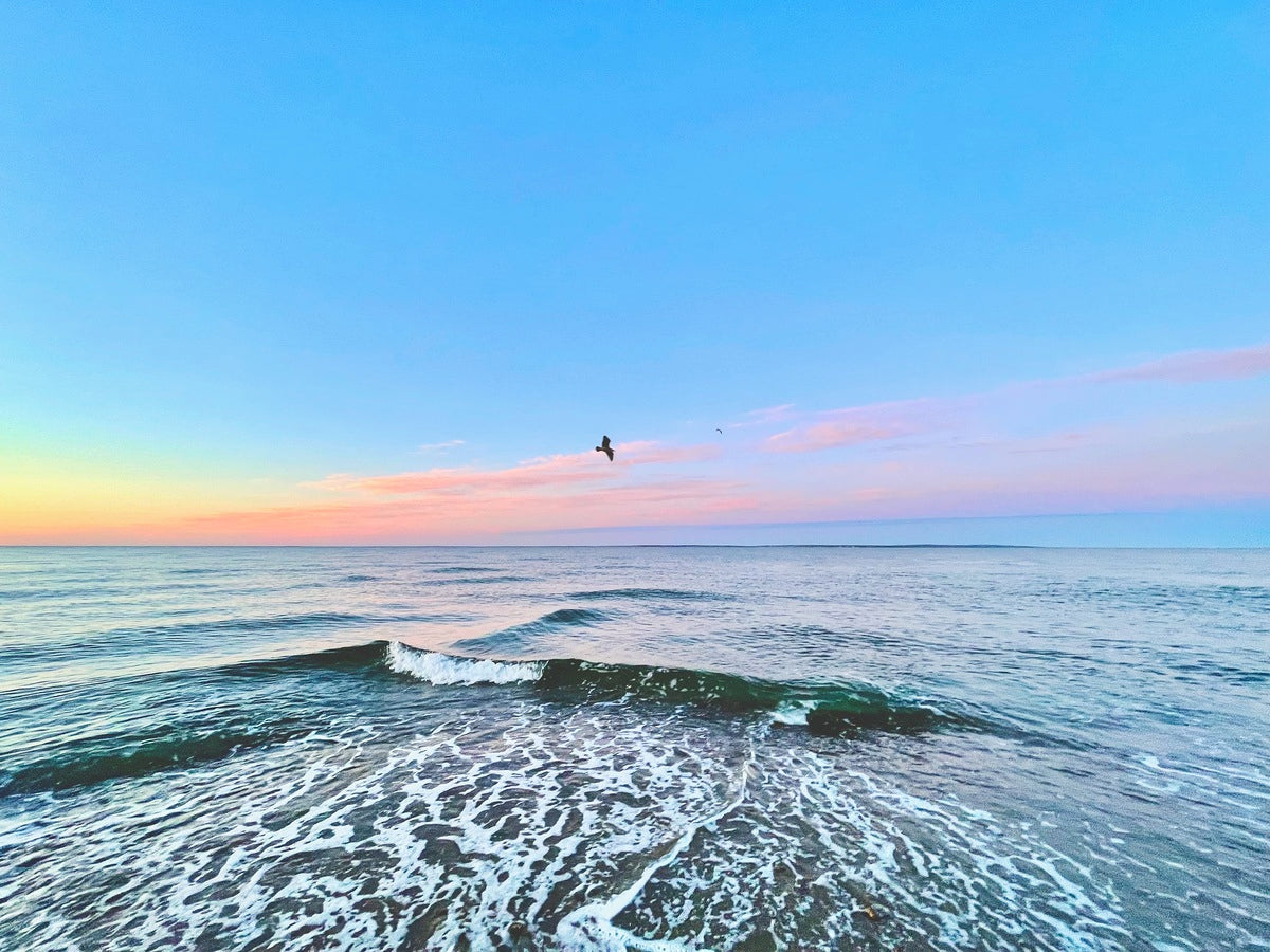 Giclee Rolled Canvas Print