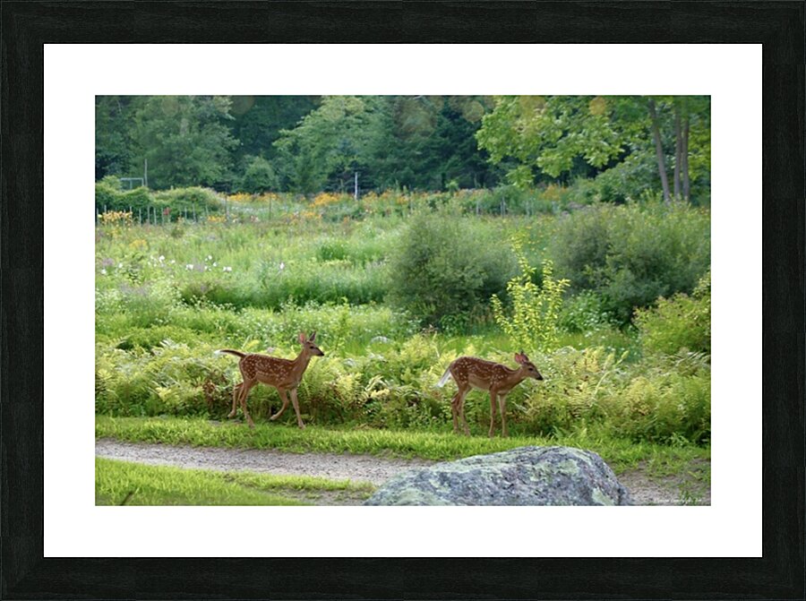2374222 :: Framed Print