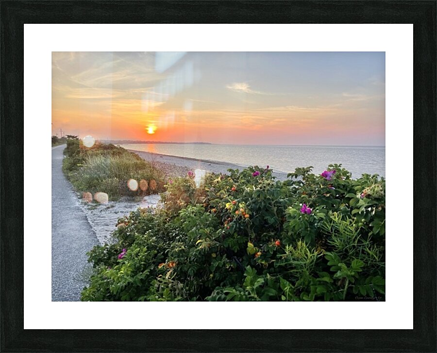 2380424 :: Framed Print