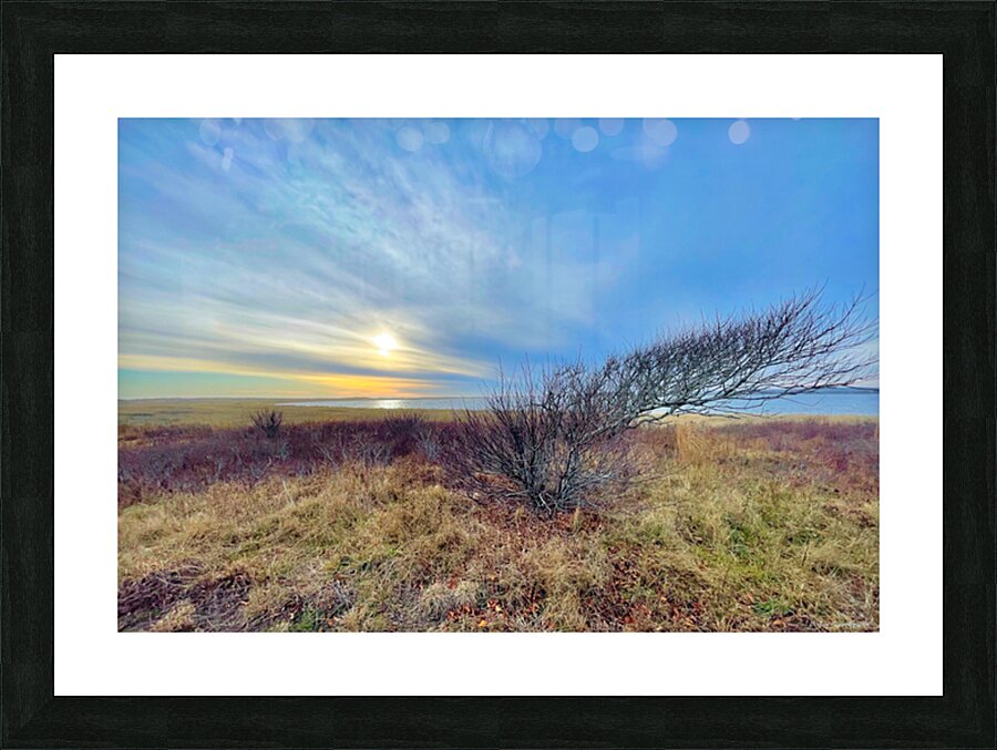 2385246 :: Framed Print