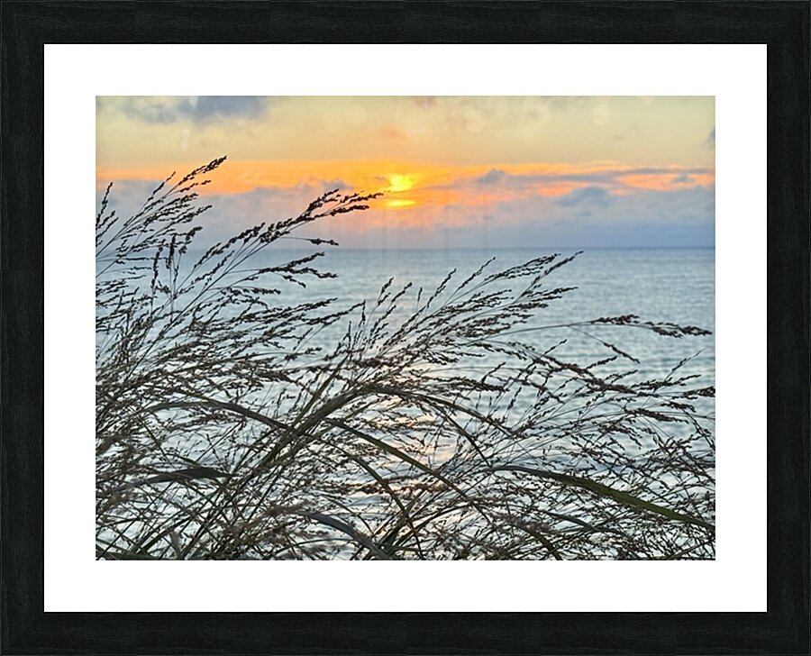 2454512 :: Framed Print