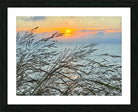 2454512 :: Framed Print