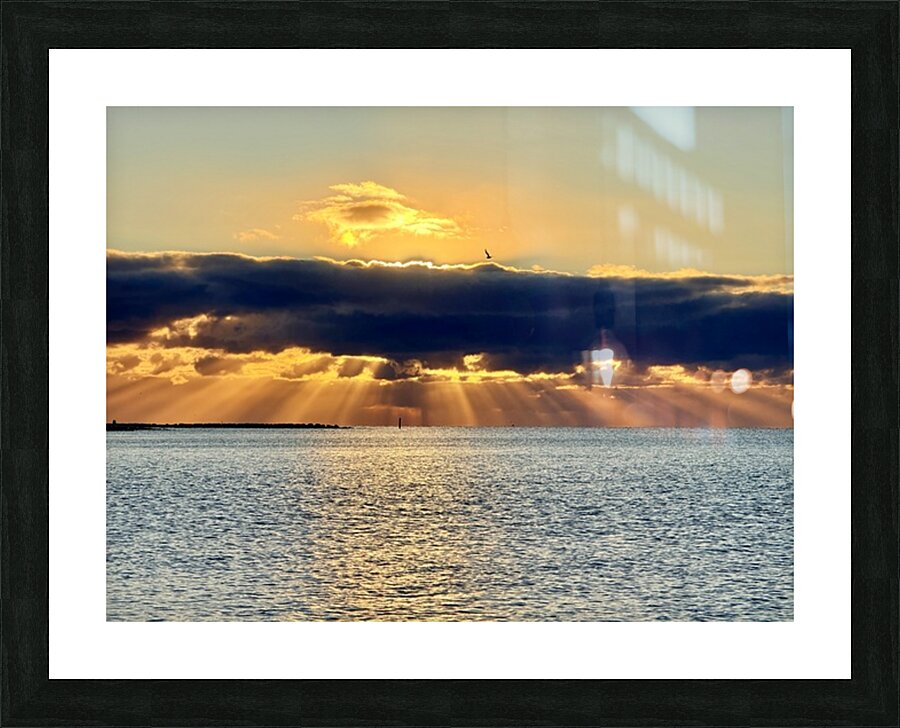 2472539 :: Framed Print