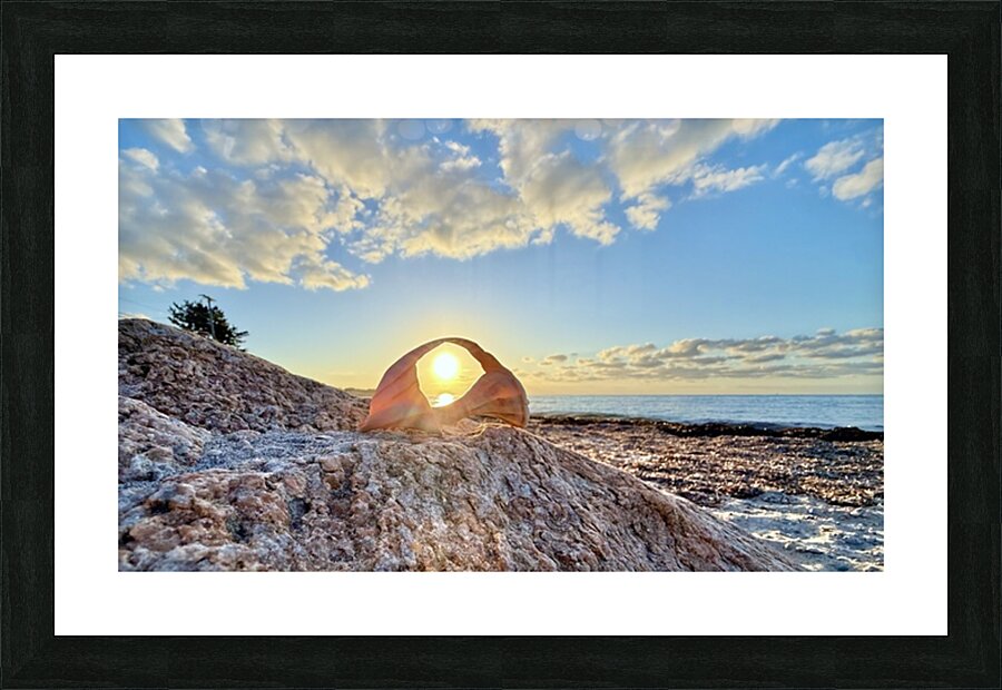 2473990 :: Framed Print