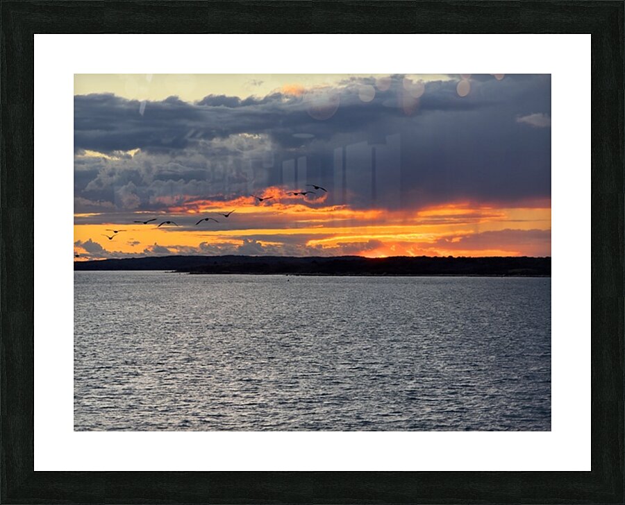 2477186 :: Framed Print