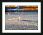 2479257 :: Framed Print