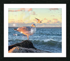 2486004 :: Framed Print