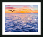 2487268 :: Framed Print