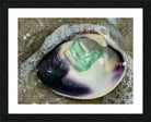 2492666 :: Framed Print