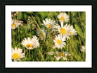 2496521 :: Framed Print