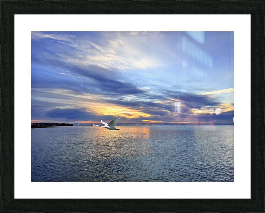 2498574 :: Framed Print
