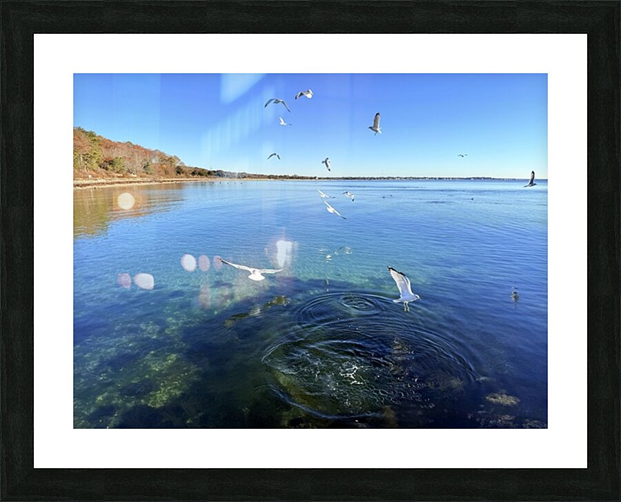2498578 :: Framed Print