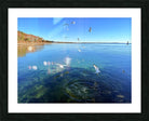 2498578 :: Framed Print