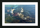 2498729 :: Framed Print