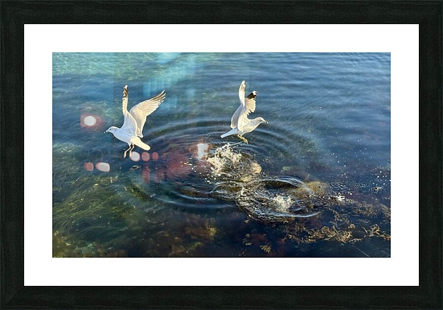 2498729 :: Framed Print
