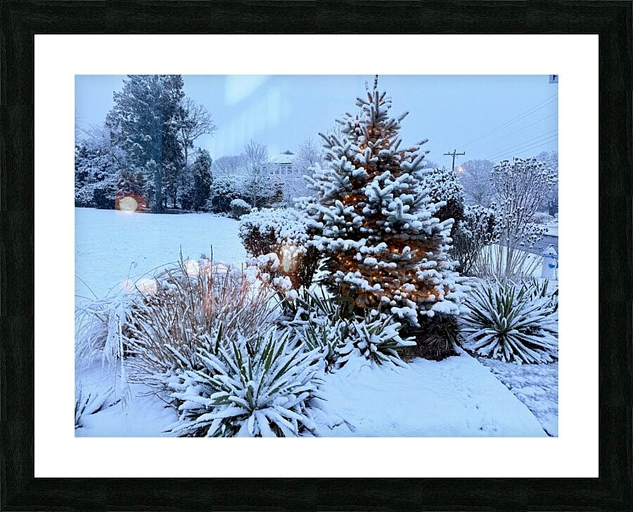 2511983 :: Framed Print