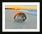 2516197 :: Framed Print