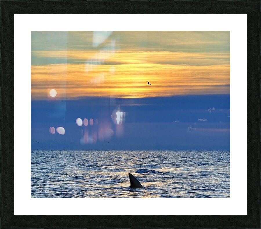 2516210 :: Framed Print