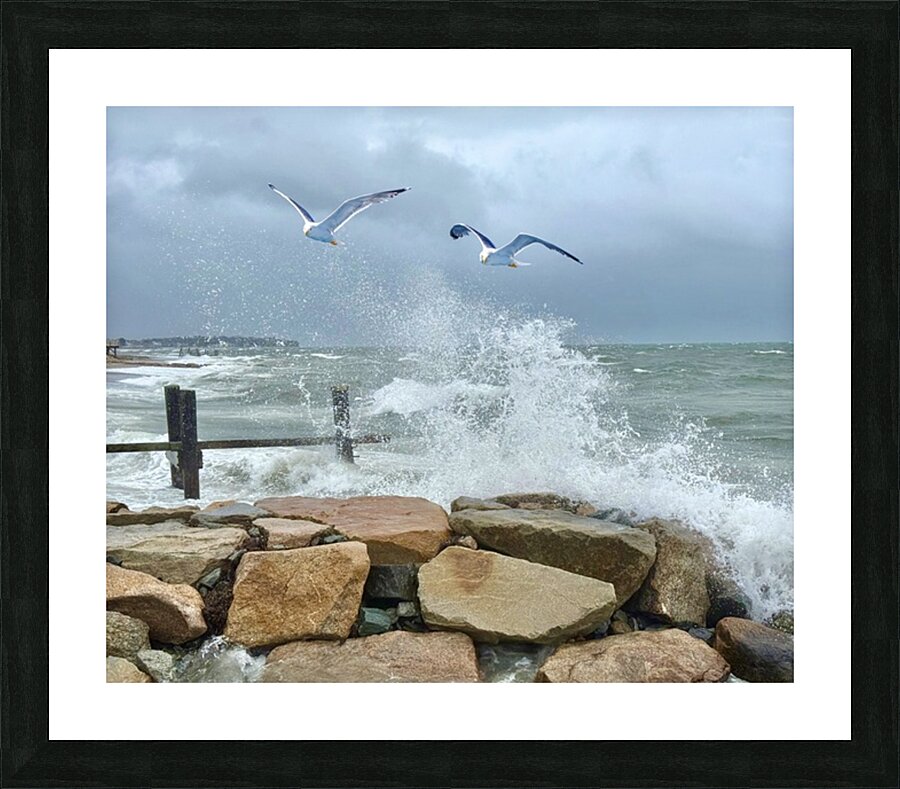 2516246 :: Framed Print