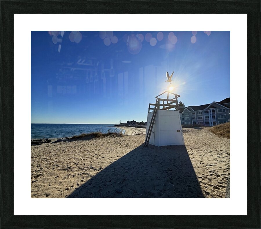 2519943 :: Framed Print