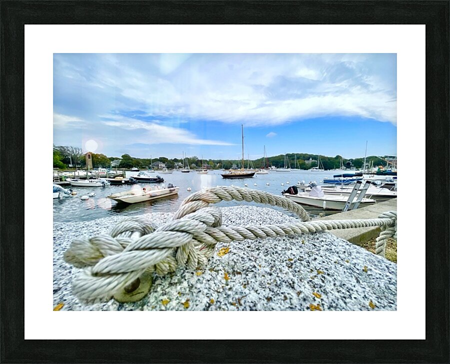 2519945 :: Framed Print