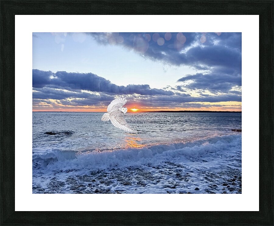 2521712 :: Framed Print