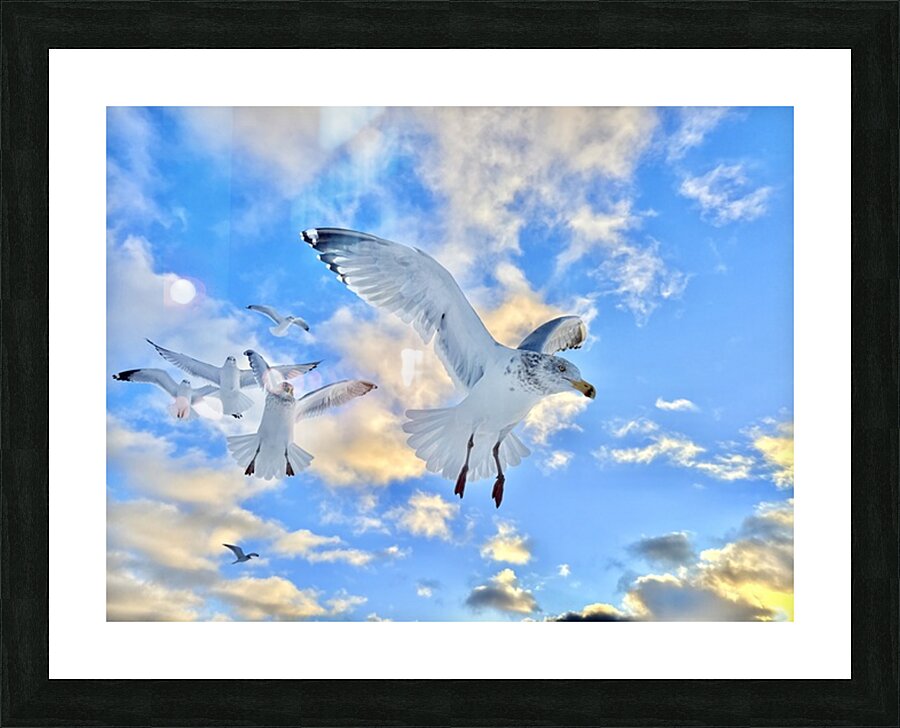 2522014 :: Framed Print