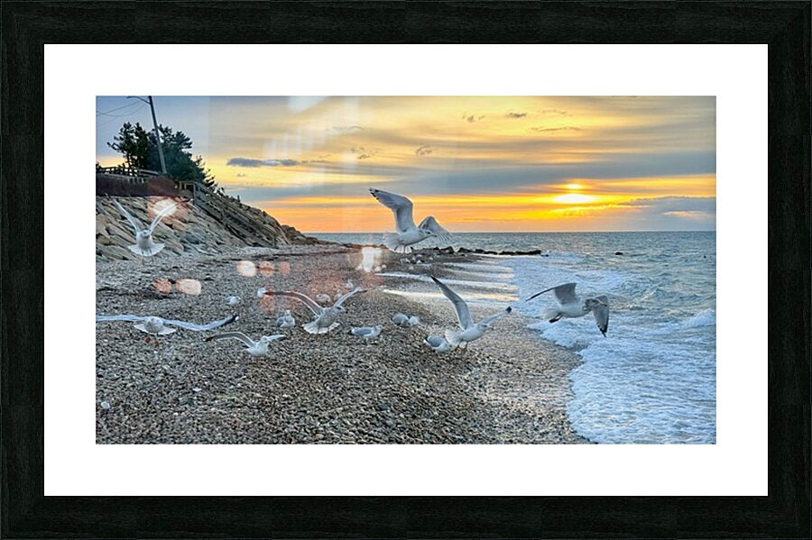 2528827 :: Framed Print