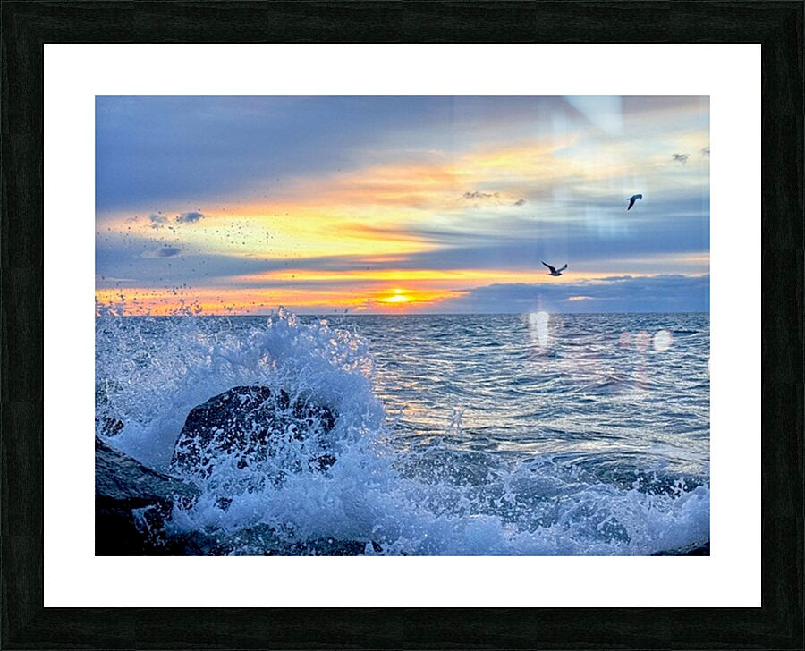 2529222 :: Framed Print