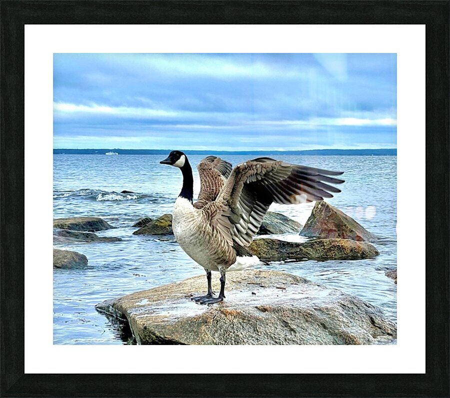 2530909 :: Framed Print