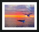 2536746 :: Framed Print