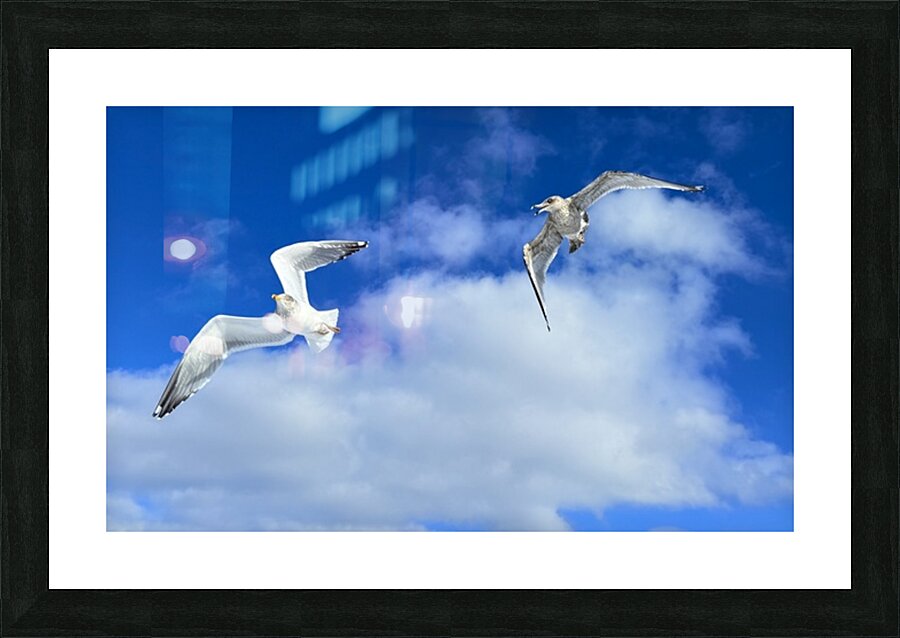 2552328 :: Framed Print