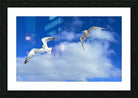 2552328 :: Framed Print