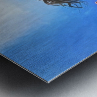 2751876 :: Brushed Metal Print