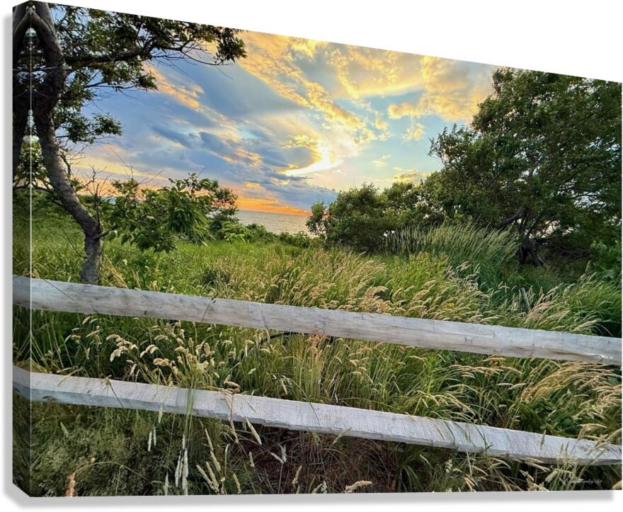 2702616 :: Giclée Stretched Canvas Print