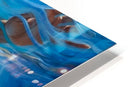 2751878 :: HD Sublimation Metal Print