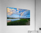 2744801 :: Acrylic Print