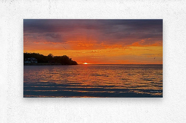 2689030 :: Brushed Metal Print