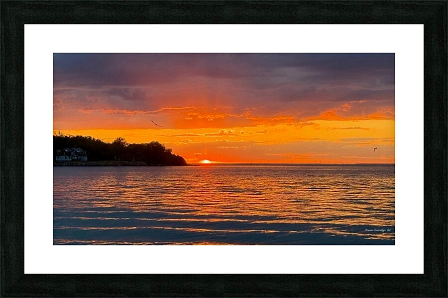 2689030 :: Framed Print