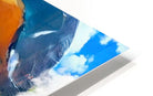 2023508 :: HD Sublimation Metal Print
