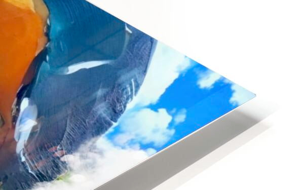 2023508 :: HD Sublimation Metal Print