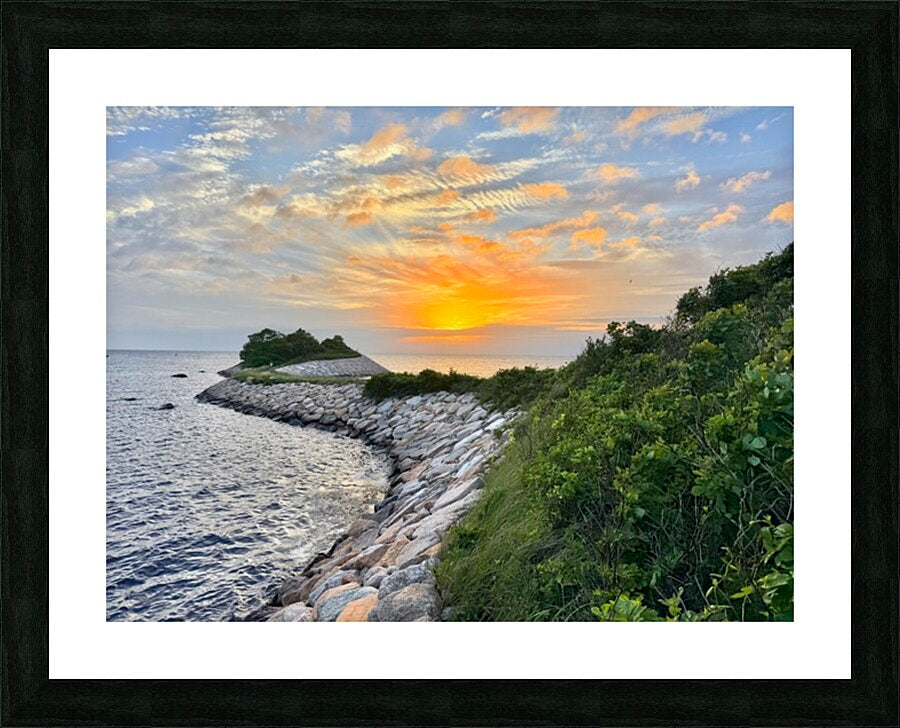 2752644 :: Framed Print